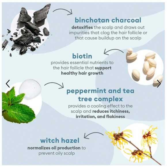 Briogeo Scalp Revival Charcoal + Tea Tree Scalp Treatment Serum - Picture 2 of 2